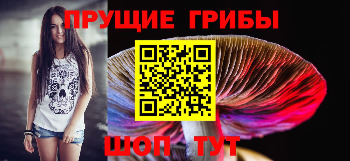 Армавир  Галлюциногенные грибы Psilocybe  Вход с VPN  хочу   Псилоцибиновые грибы мухоморы 